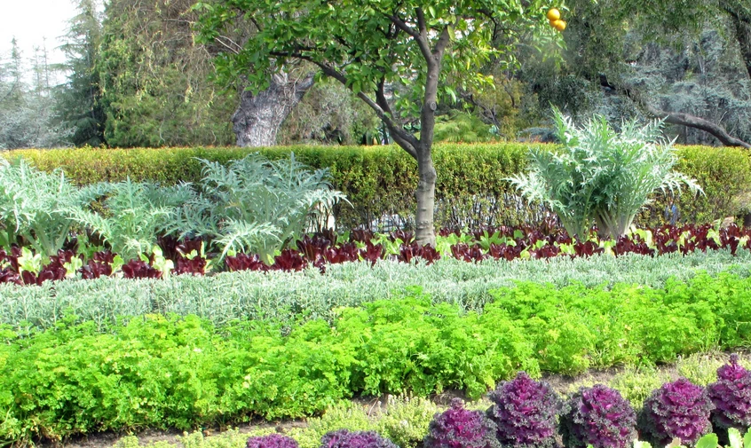 Design with Native Plants