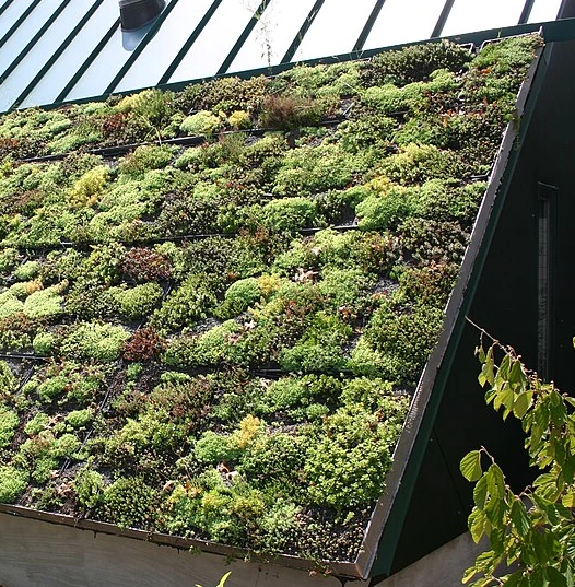 Green Roofs