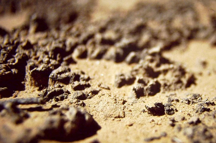 Composting and Living Soil